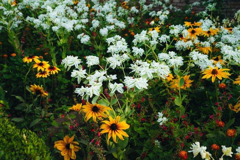 Northvale Gardenworks 4